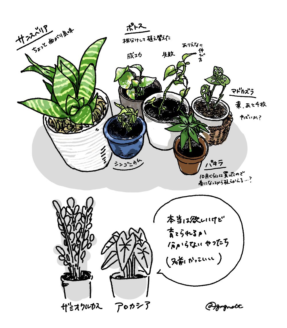 丁寧な絵日記
葉っぱたちの近況 