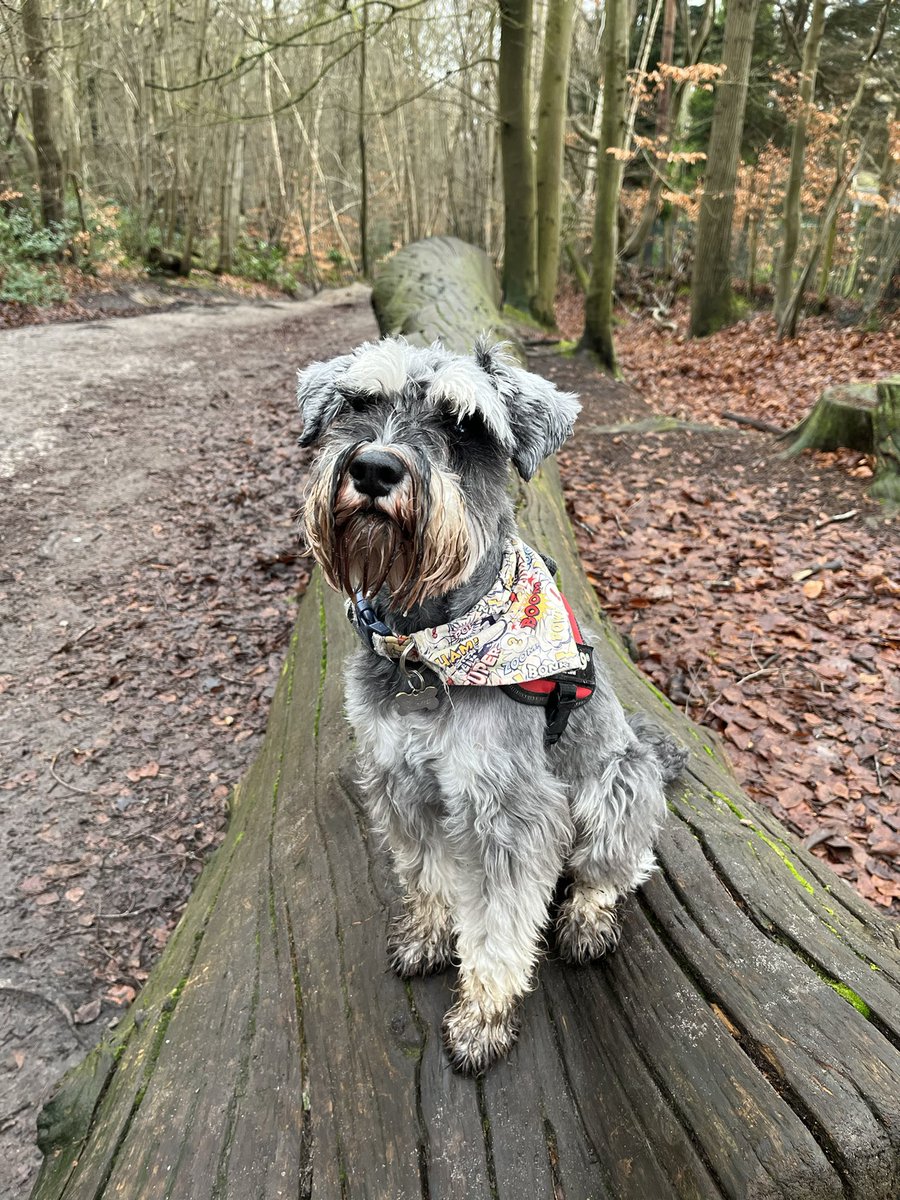 Muddy walk today palz. Happy weekend efferybuddy.