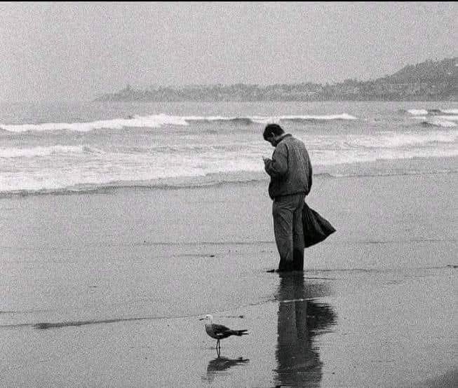 جو تم سے ایک بار دھوکہ کرے گا وہ پھر تمہیں ہزار بار دھوکہ دے گا - پورا سمندر پینے کی ضرورت نہیں جب تم یہ جان لو کہ وہ کھارا ہے

چی گویرا