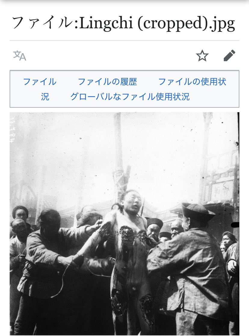 北方園のオヤジ tweet media