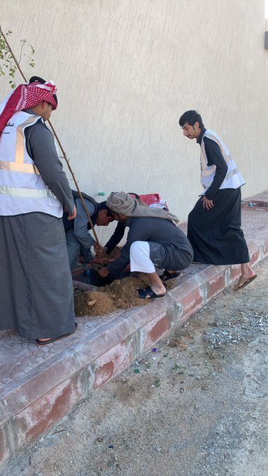 الصورة