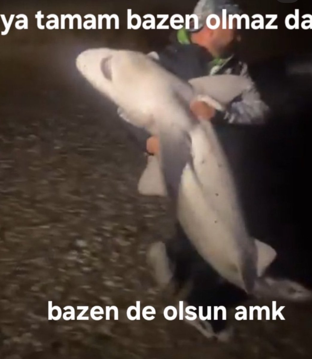 fatihkartalci (@fatih_kartalci2) on Twitter photo 