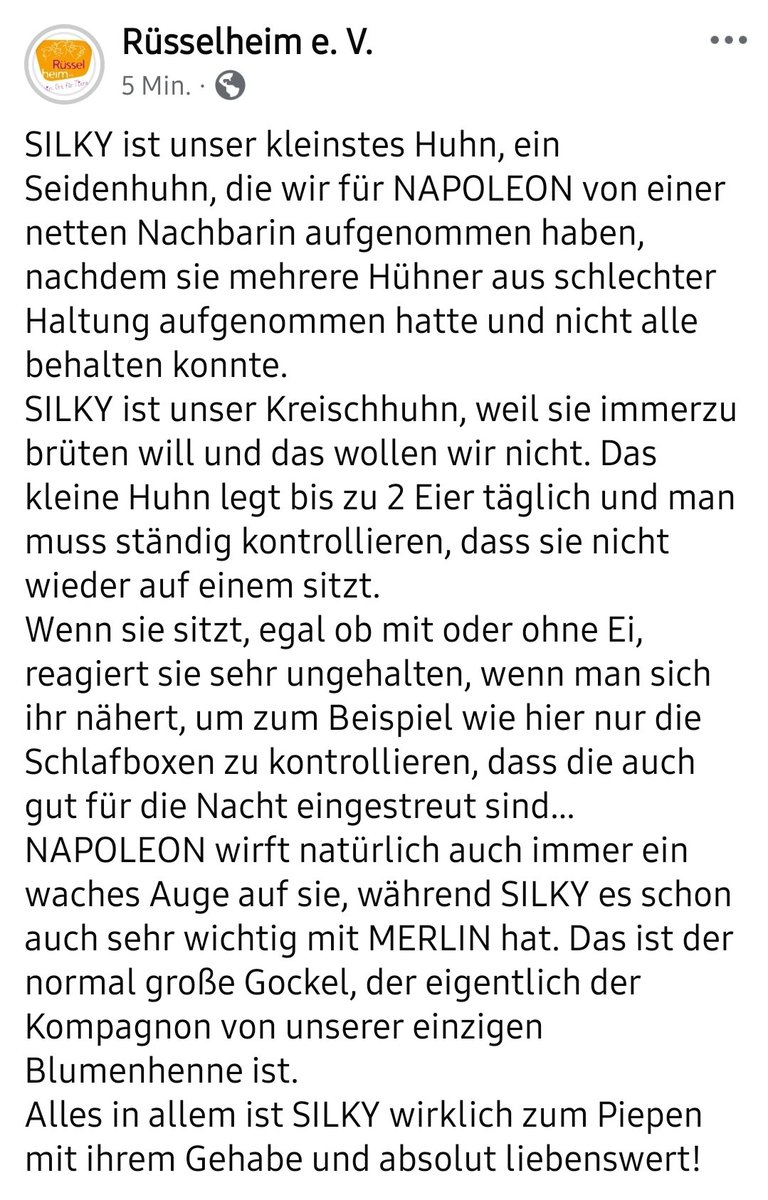 Rüsselheim e. V. tweet media
