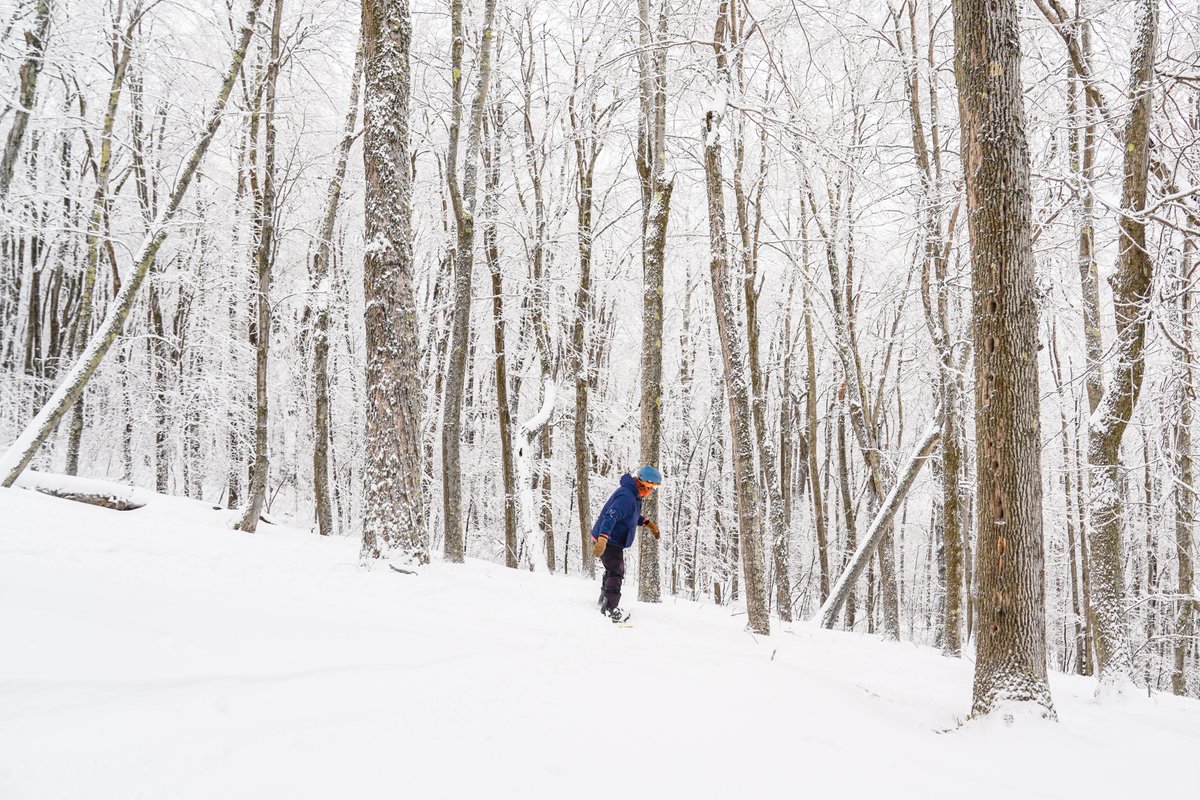 Fresh snow has fallen and the trees are calling!✨

🌲Come play in Beck Brook, Lower Ridge, and Cataract Glades.

🏔️ Stay tuned for more terrain updates on the My Epic app or check out our Lifts &amp; Terrain Status: bit.ly/3amFaql

#MountSunapee