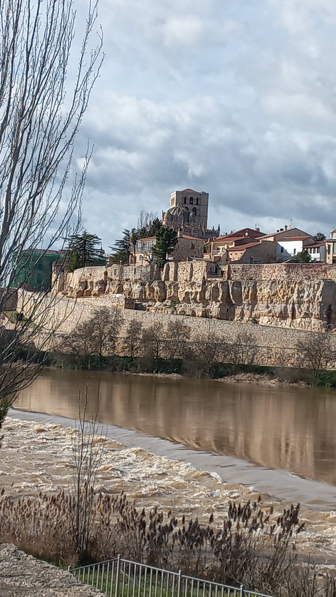 Raúl Sánchez Prieto tweet media