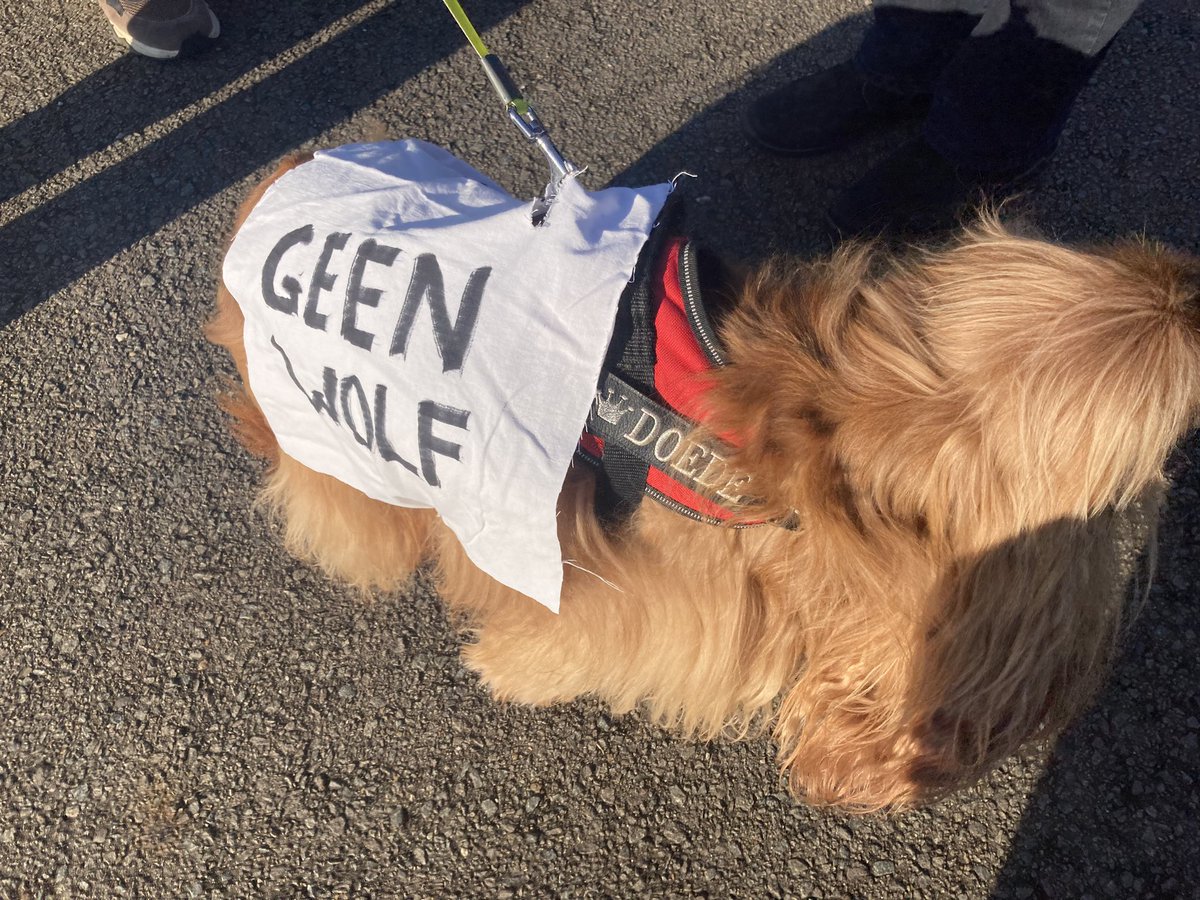 Op het platteland krijgen ze meer en meer genoeg van de wolf.