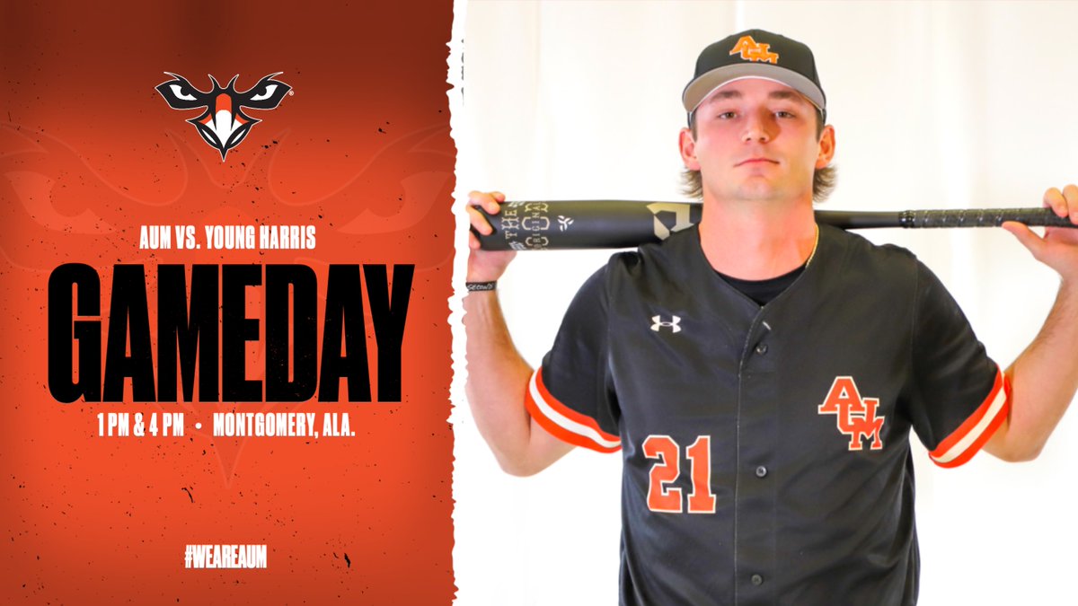 ⚾️AUM Baseball tweet media