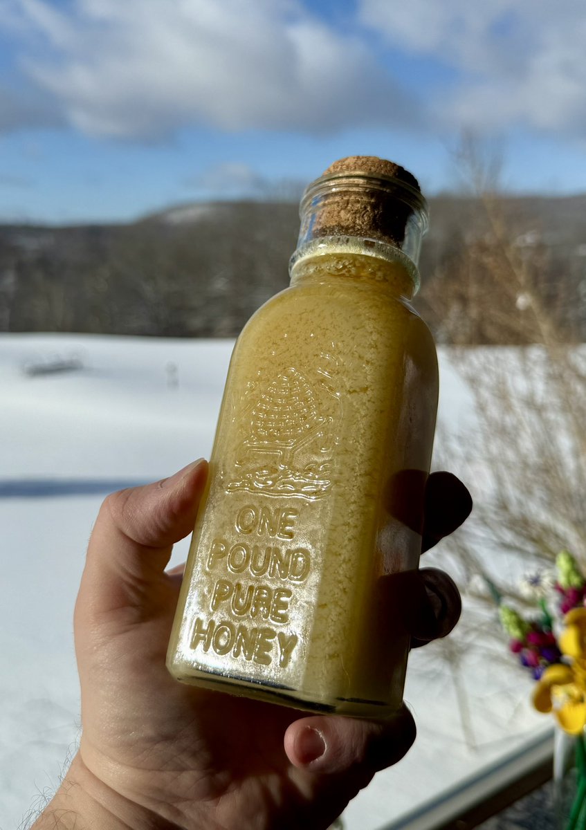 Old Hollow Tree tweet media