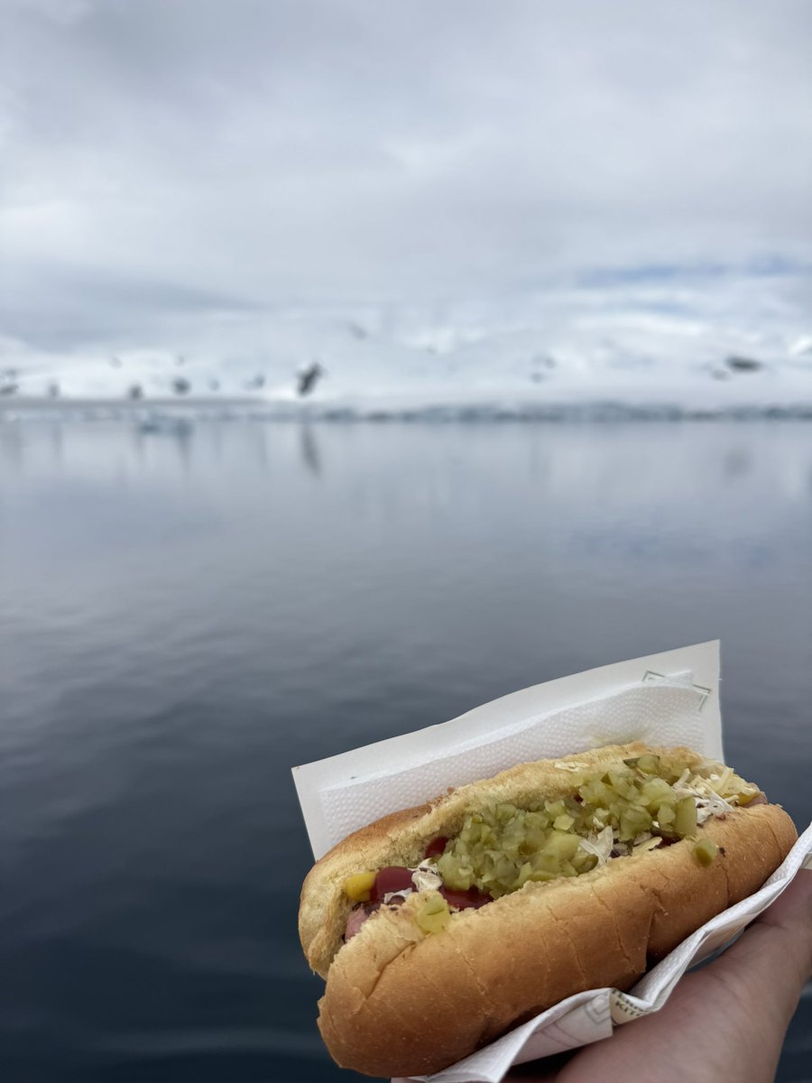 hdtsm's tweet photo. 南極でホットドッグ🌭 https://t.co/bVUWQh298j