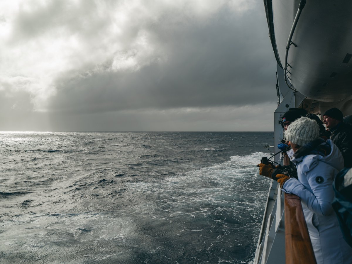 Thabo Nyaku tweet media