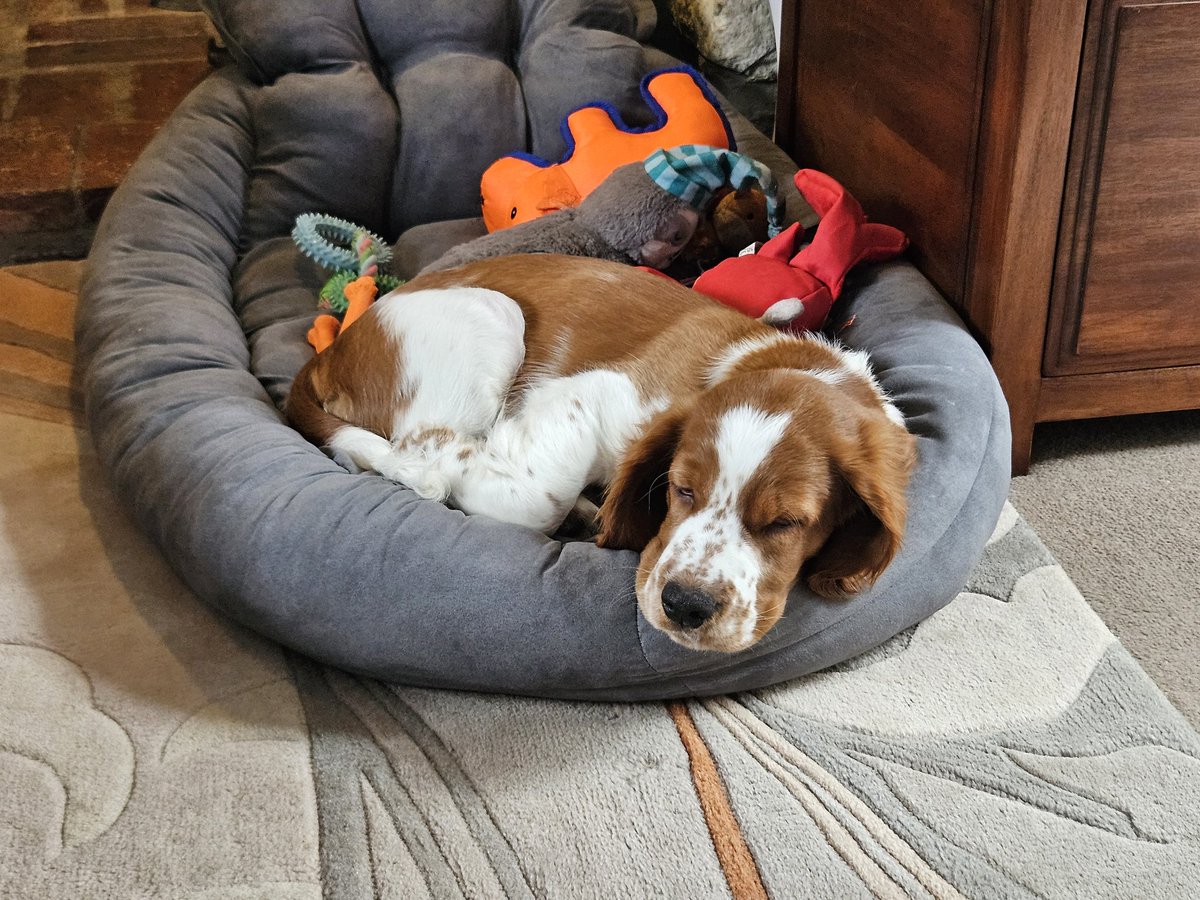 Sally-Anne Watts 💙 tweet media