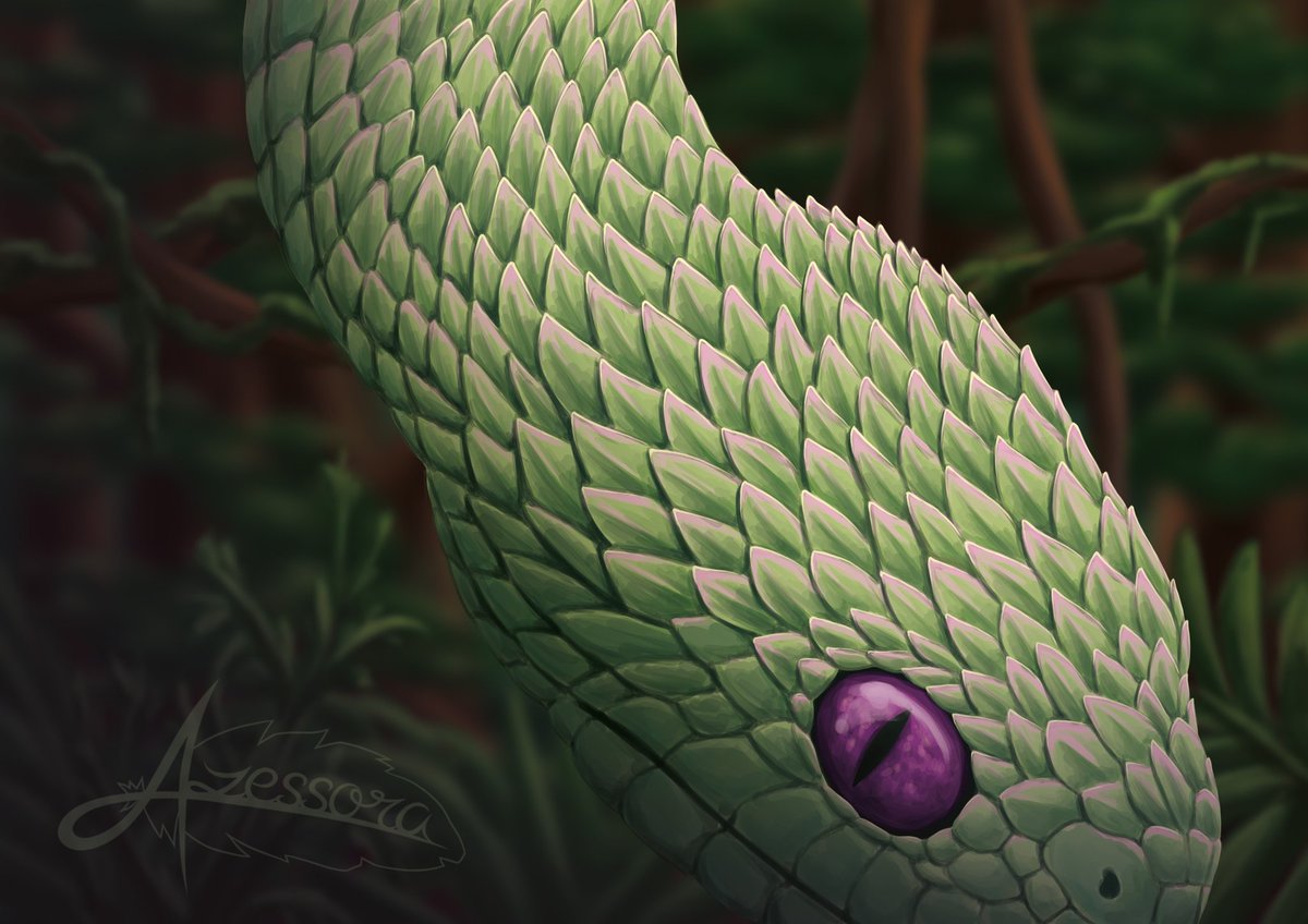 Azessora's tweet photo. Serpent de bois

L'illustration de février pour ma page Ko-fi !

#art #illustration https://t.co/oF8GHGftlr