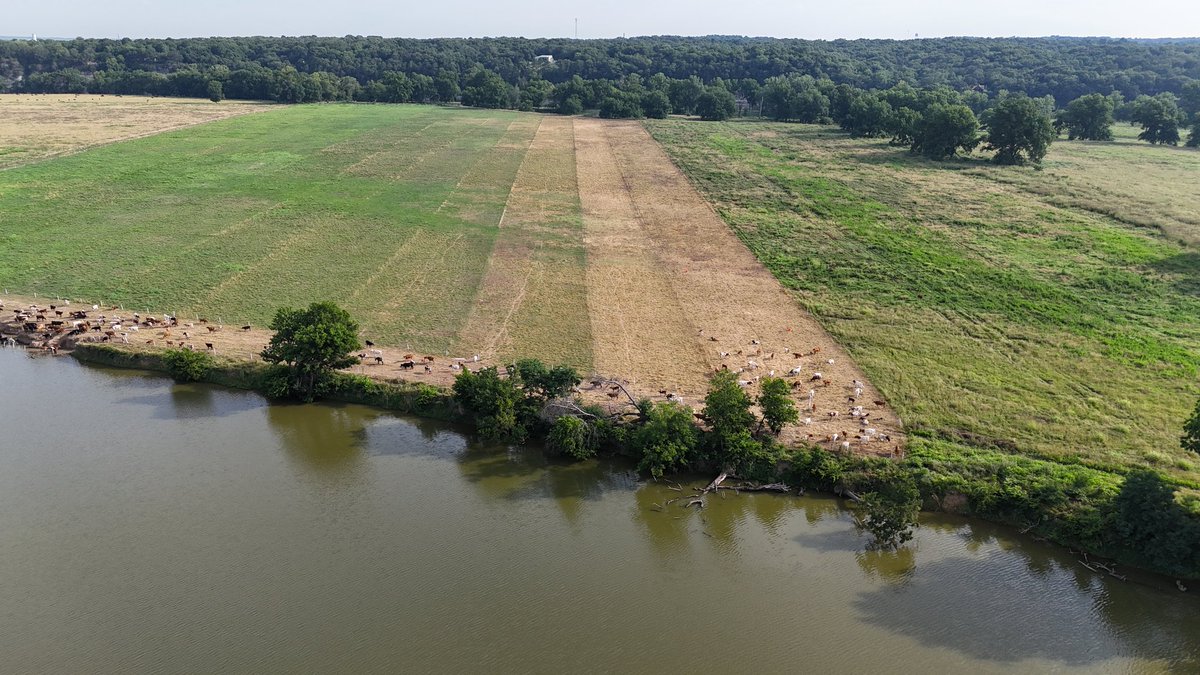 untappedgrowth's tweet photo. This is why the work we are doing is so important. The leaders in regenerative agriculture don't even fully understand the problem yet, or even believe it is possible to solve the way that we are

These first 2 photos are about 2 weeks recovery in the exact same spot.
1/3 https://t.co/BELsU9icf1