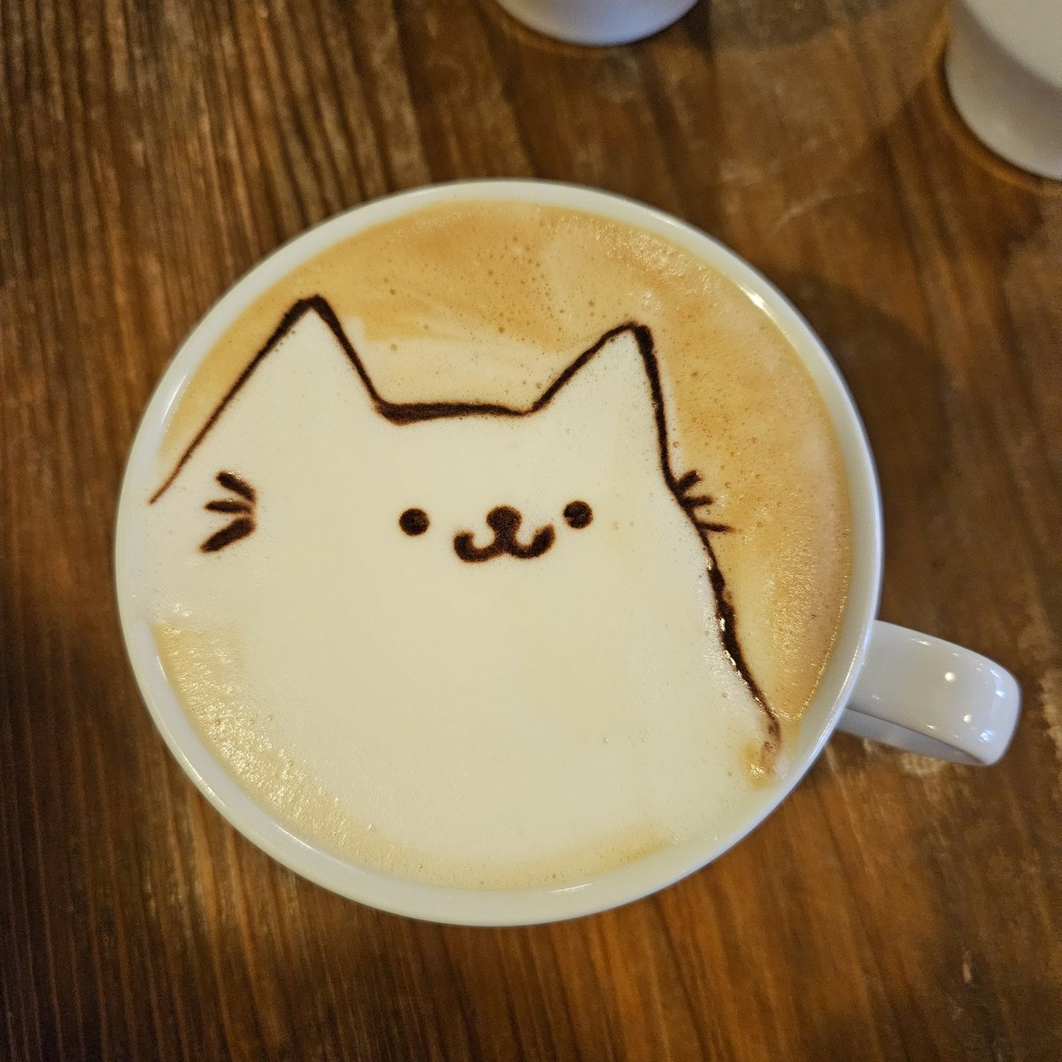 <a href="/nubcat/">nub</a> Thank you for following！🐱☕