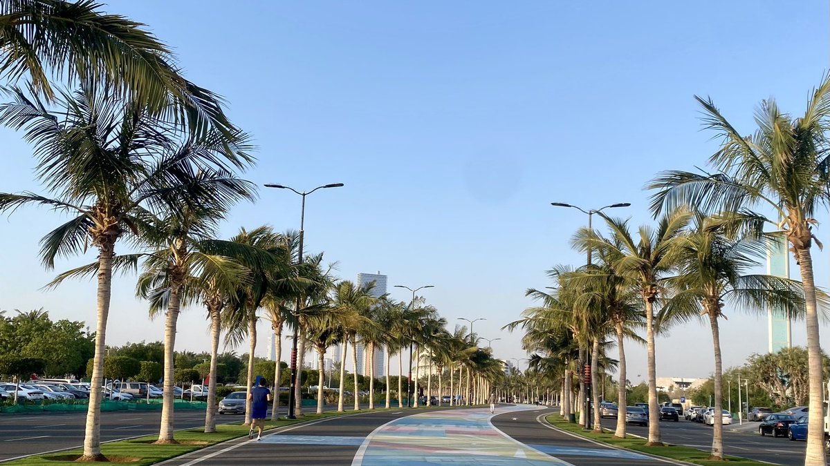 I had the pleasure of attending and presenting at the 39th International SORL Conference. I am incredibly grateful to have won 3rd place Best Research In Student Competition and to have connected with ENT enthusiasts and experts!
#SSORL2025