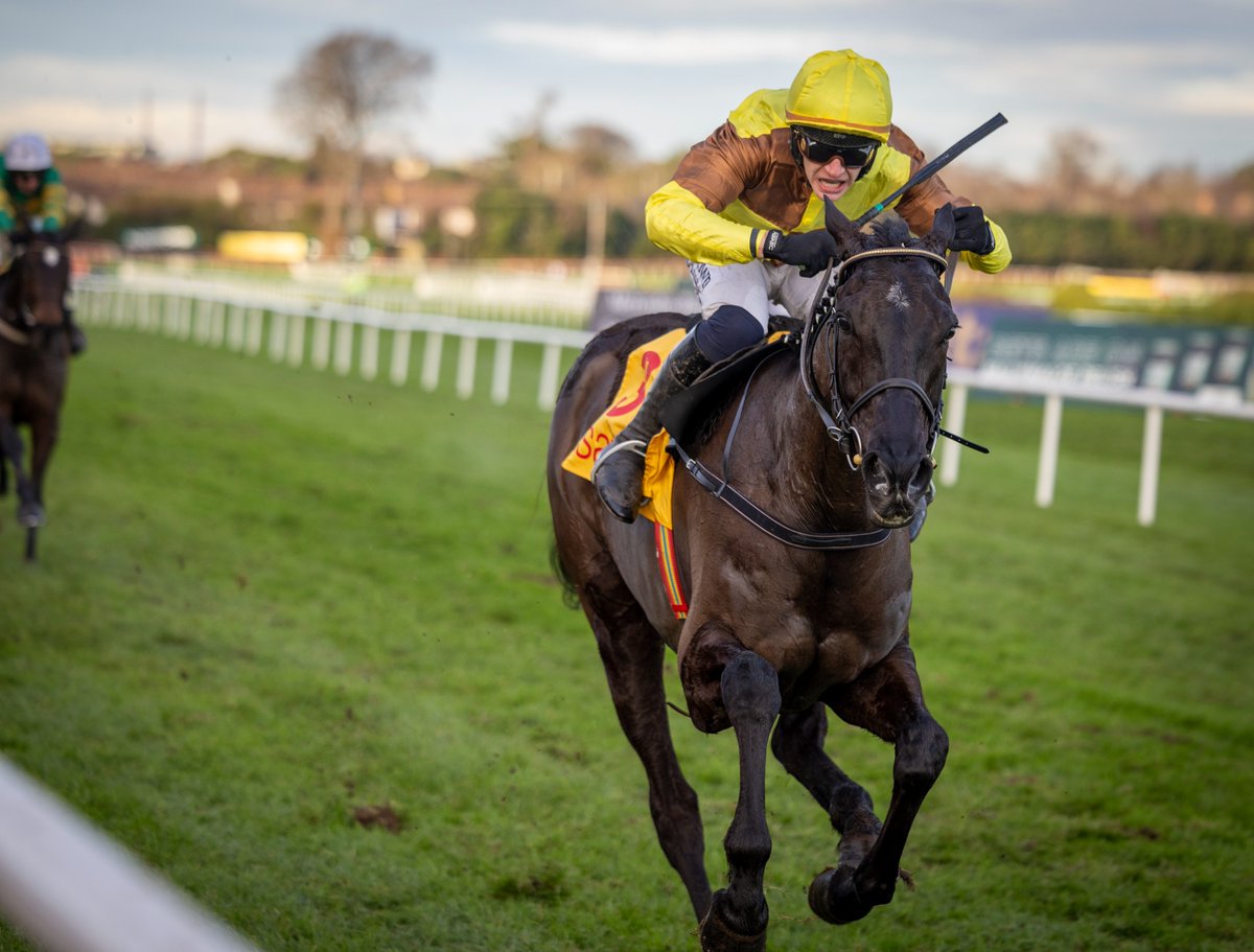 😍 GALOPIN DES CHAMPS WINS THE IRISH GOLD CUP!

Simply too good. 👏