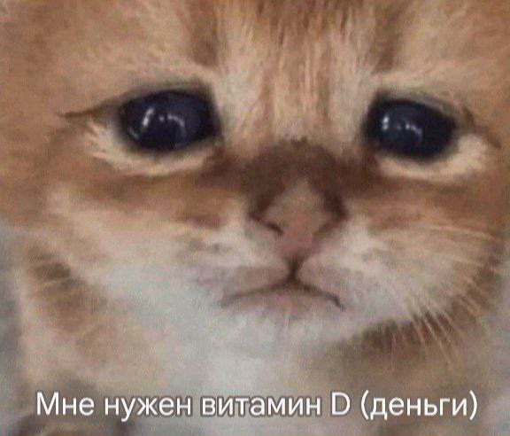 catsilcats's tweet photo. https://t.co/0SiFBwI26C