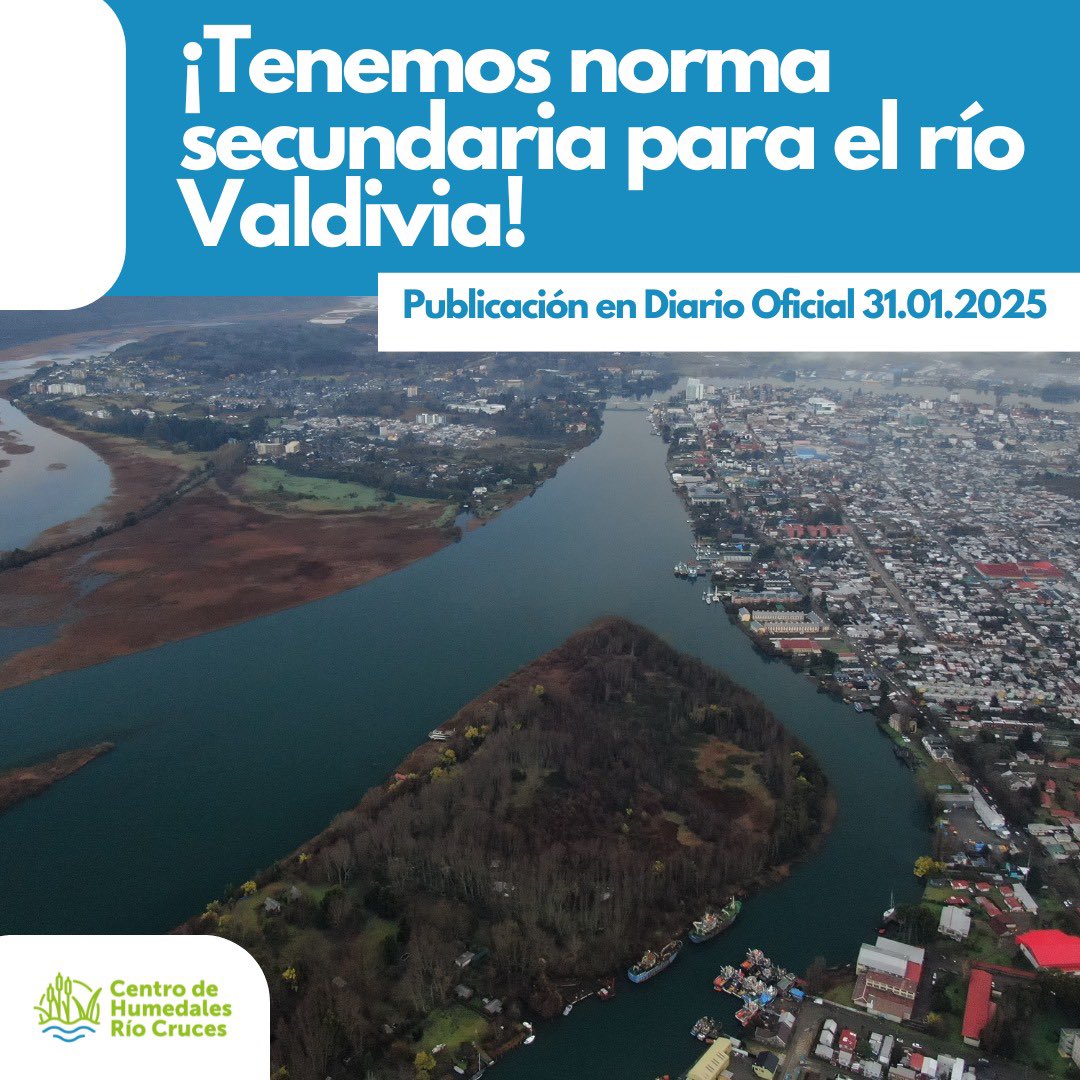 Más de 20 años pidiendo la norma secundaria para la cuenca del río Valdivia que desde ayer es oficial. 

Que nunca se nos olvide que mantener la vida depende no solo de tener agua en cantidad, sino que también en calidad. 

#normasecundaria #ValdiviaCL #humedales