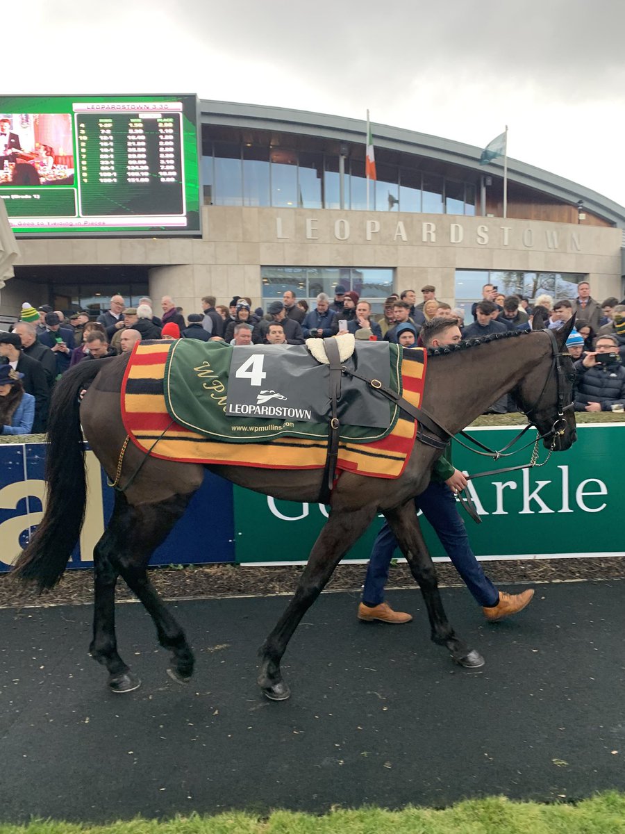 All eyes on Galopin Des Champs in the parade ring before <a href="/paddypower/">Paddy Power</a> Irish Gold Cup <a href="/LeopardstownRC/">Leopardstown RC</a> #DublinRacingFestival