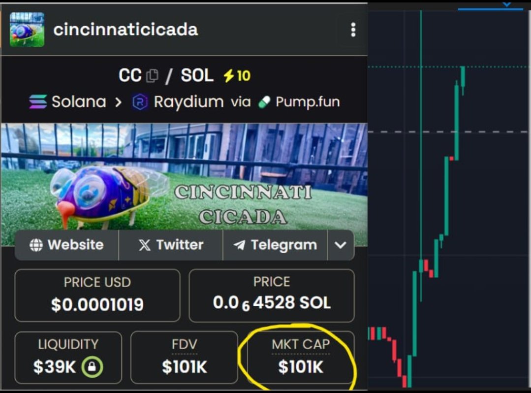 OfficCINCINNATI's tweet photo. Just hit 100K, thanks everyone! 😍💰🤑

🟢 Follow me and BUY $CICADA on #Solana

🔗 Coin adress: 
E5BPWueXuGkWiKBKVmBZdz3Eiez4FxqxepSuukdvpump

#CincinnatiCicada #CICADA #MemeCoin #CryptoMoonshot #BuyTheDip https://t.co/WJzHcXRdcg