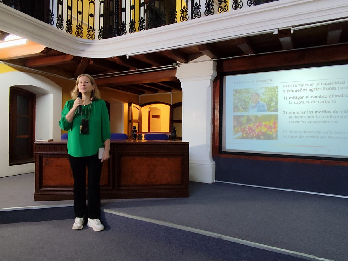 ¡Así inician las actividades! La Dra. Tiziana Ulian, representante de Kew Gardens realiza la presentación del proyecto "Incremento de la captura de carbono en cafetales bajo sombra". Sigue los pormenores de nuestras actividades a través de Facebook, X e Instagram.