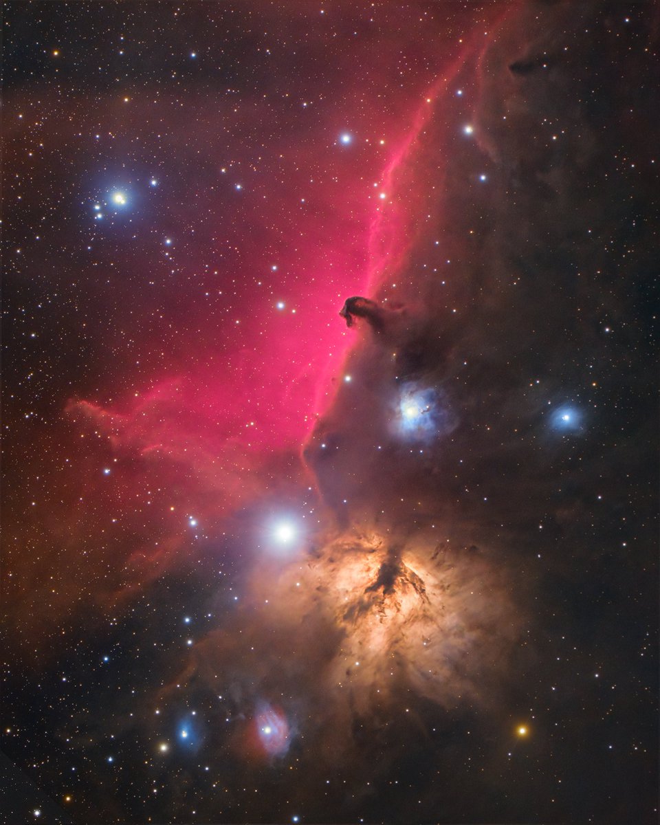 The Horsehead Nebula!

I used a technique known as LRGB imaging to capture this nebula in detail with my astronomy camera in the backyard.

This iconic deep-sky object lies in Orion's Belt. It's an extremely popular winter subject - that never gets old even after years of