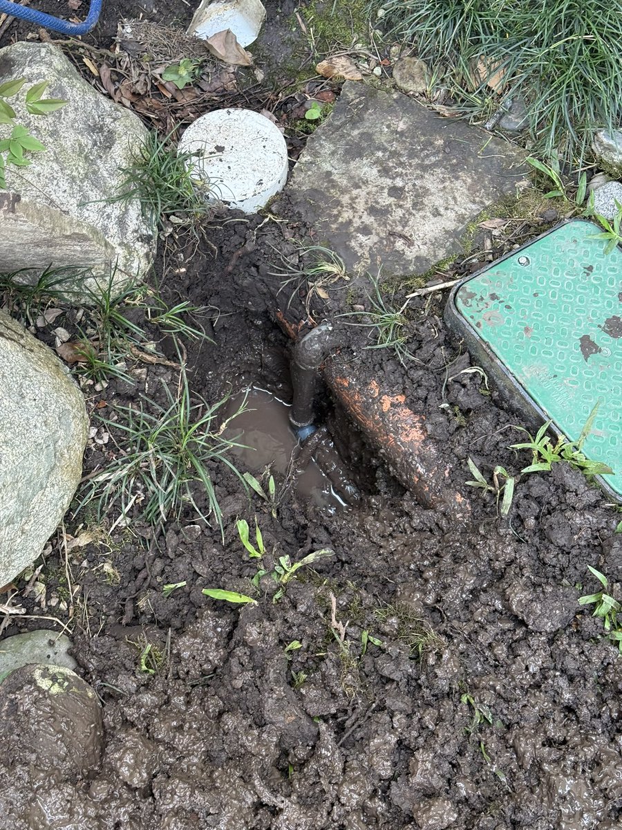 Pablo E. Untroib tweet media