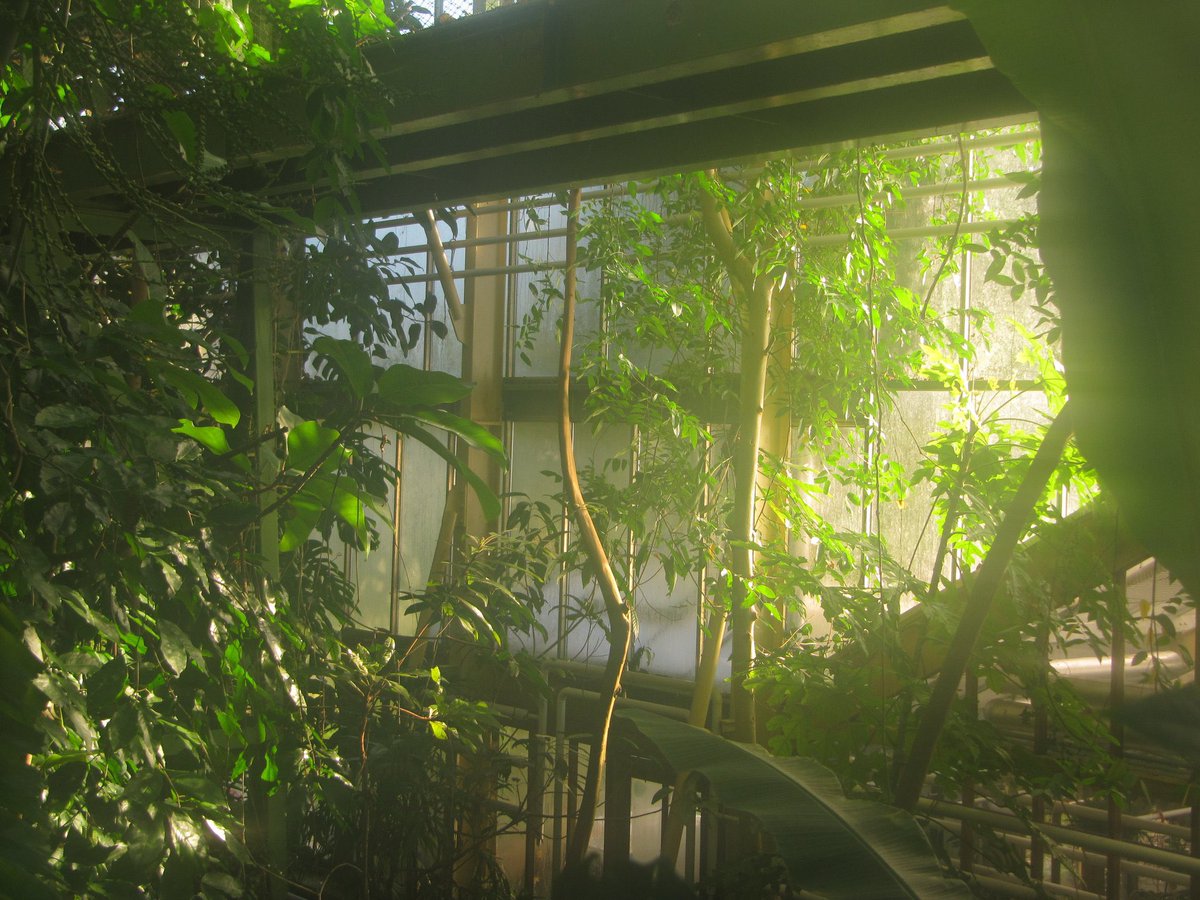 liliadeae's tweet image. today i walked 13k and took pictures with my digital camera! :-)