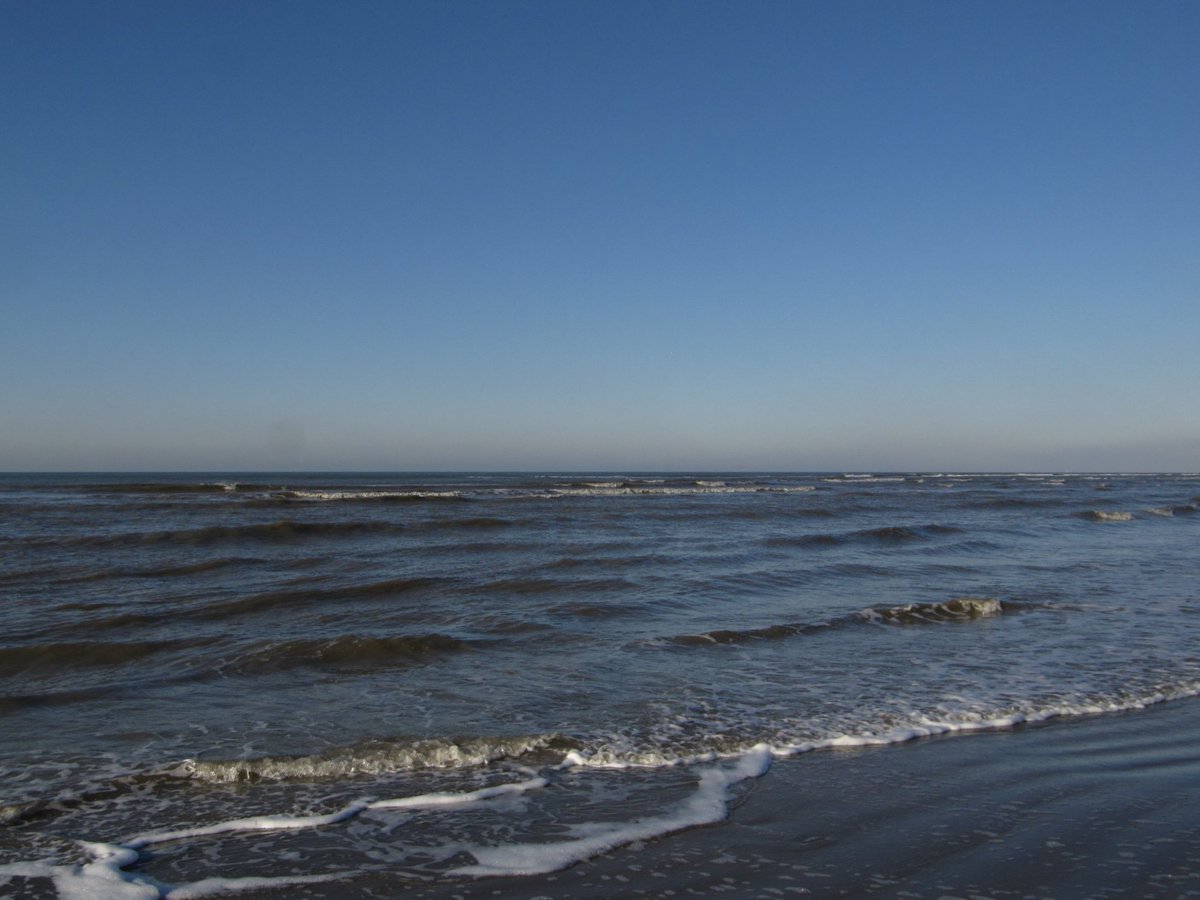 liliadeae's tweet image. today i walked 13k and took pictures with my digital camera! :-)