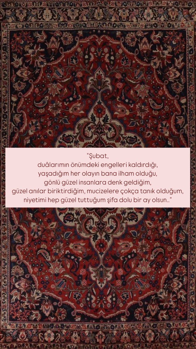 𝔞𝔩𝔟𝔞𝔩𝔦𝔞 (@birmahzunn) on Twitter photo 