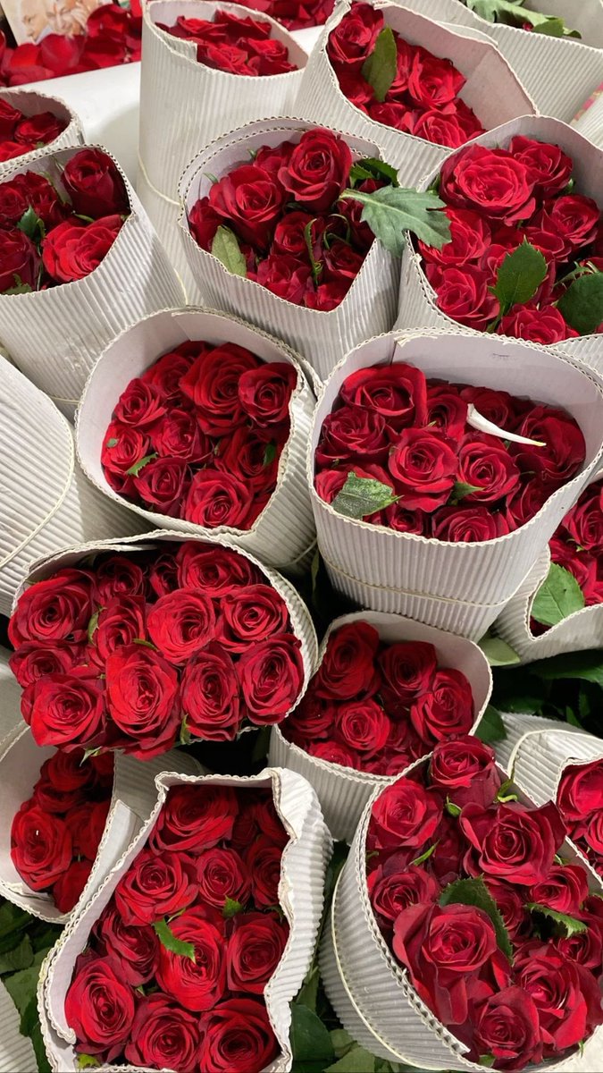Red rose bouquets