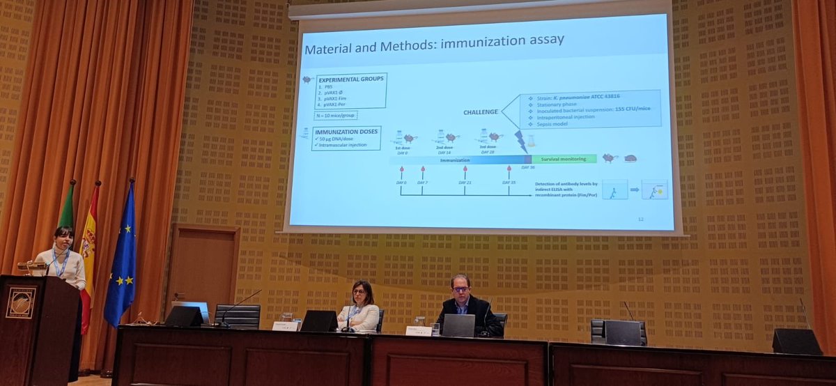 Fimbriae or porin, which part of K. pneumoniae is the best immunogen? Marta Vicente from <a href="/LabMmi/">MMILab_UDG</a> presented comparative data at III <a href="/eurestop/">EURESTOP</a> meeting 🧩🦠🧬 Thank you for this great opportunity to share our work!