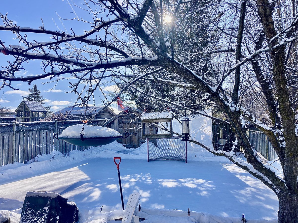 Welcome, February. <a href="/RinkWatchOrg/">RinkWatch</a>  <a href="/backyrdicerinks/">Backyard Ice Rinks Community</a> <a href="/OutdoorRinks2/">Kitchener Outdoor Rinks</a>