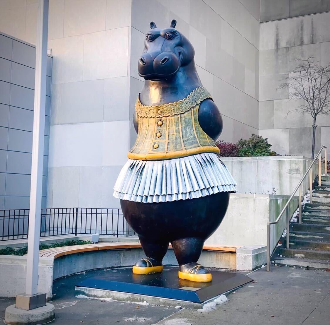 Gus Saltonstall tweet media