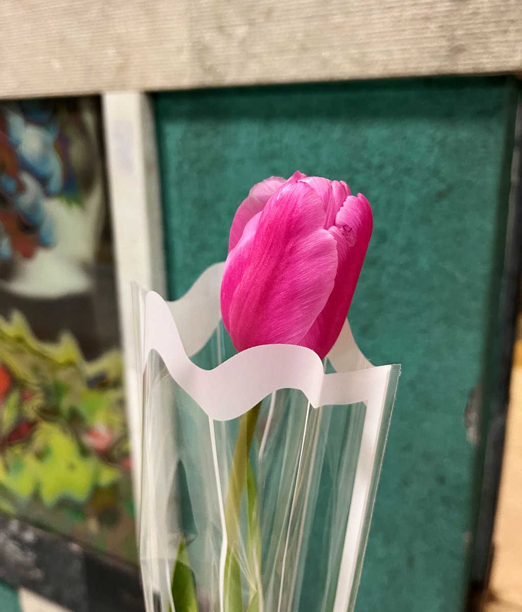 dikkatin, sevginin ve iyi alametin sembolü ✨🌷