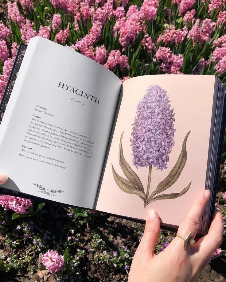 lavieestbelIe's tweet image. Hyacinth