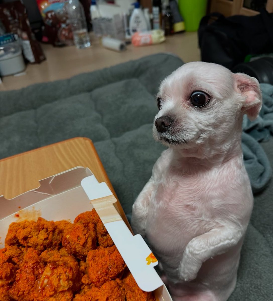 twaniimals's tweet photo. https://t.co/AEJftfzjb5
