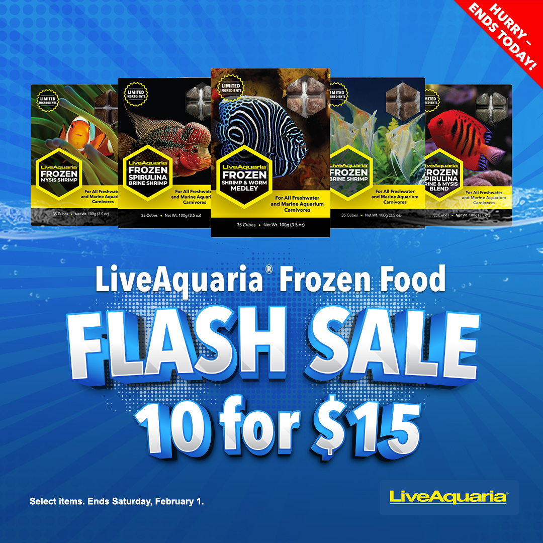 LiveAquaria's tweet image. Our food sale ends tonight! You’re gonna love getting 10 for $15 on LiveAquaria® 3.5 oz. Frozen Food Cubes. But like all good things, it must come to an end-and that’s tonight at midnight, so act F-A-S-T.
tiny.cc/a7x7001
#liveaquaria #fishfood #frozenfishfood
