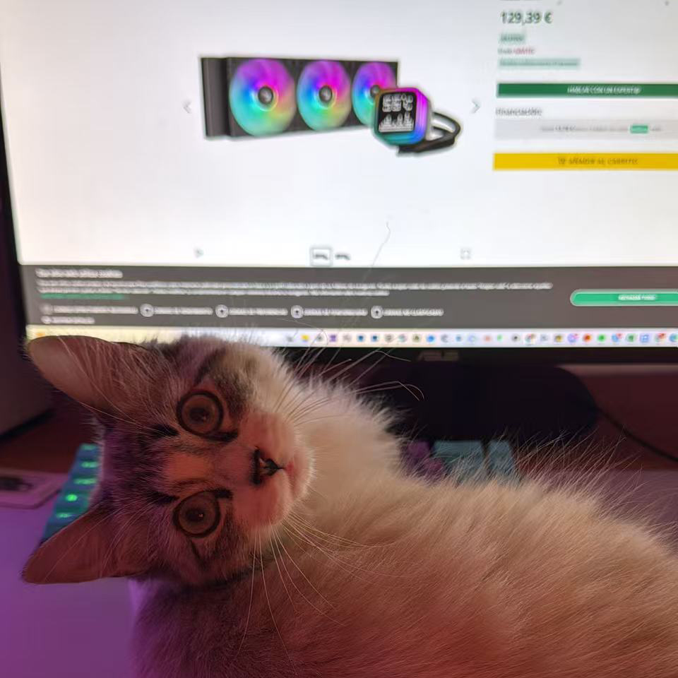 Deepcoolglobal's tweet photo. 😻: buy me this!
AIO: LP360
#deepcool #LP360 #LP240 #airflow #pcbuilding #fps #gamingpc #gamerlife #esports #cpucooler #lga1700 #am4 #am5 #catlover https://t.co/aVaOfvoKdT