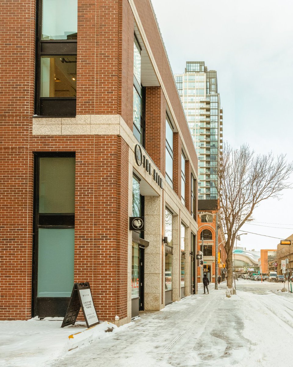 Our World - a series of candid moments that give you a glimpse into our lives through the week.

Our team’s been on the move—juggling appointments and welcoming fresh new arrivals in the store. If you're out and about, swing by to say hello!