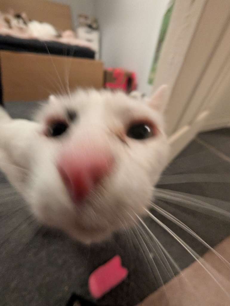 simi🍒 tweet media