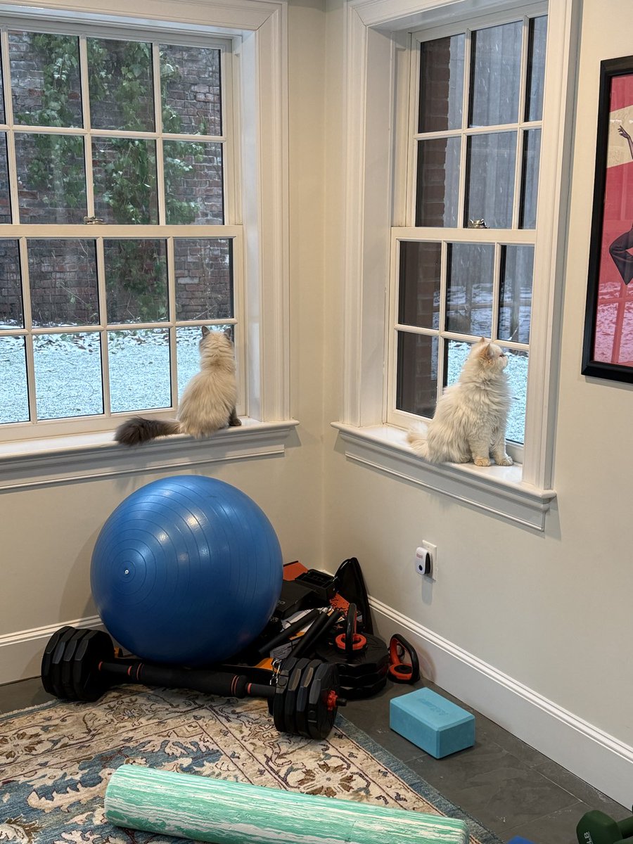 It’s not fair to see snow but not have a chance to play with it.