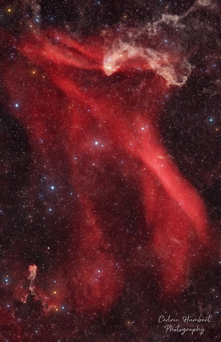 LeeAnneGibbon1's tweet photo. The Great Lacerta Nebula (Sh2-126) is an emission nebula about 1,200 light years away in constellation Lacerta (Great Lizard). Part of the giant star-forming region, Lacerta OB1, the nebula is ionized by intense ultraviolet radiation from the star, 10 Lacertae. 📷 SPL # #Sh2126 https://t.co/Ubey2b7yKS