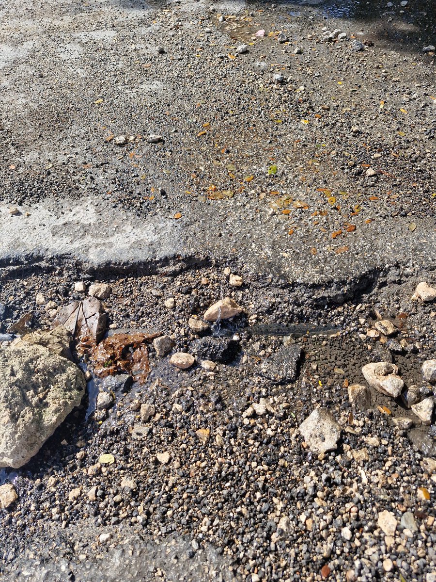 mpcardin's tweet photo. @JAPAYOficial vinieron a atender la falta de agua a mi vecina y dejaron la calle sin pavimentar. Ahora la línea ya tiene una fuga. Y trato de reportar la fuga a su número y no contestan. Como se reportar? https://t.co/Qw9GS7XhvV