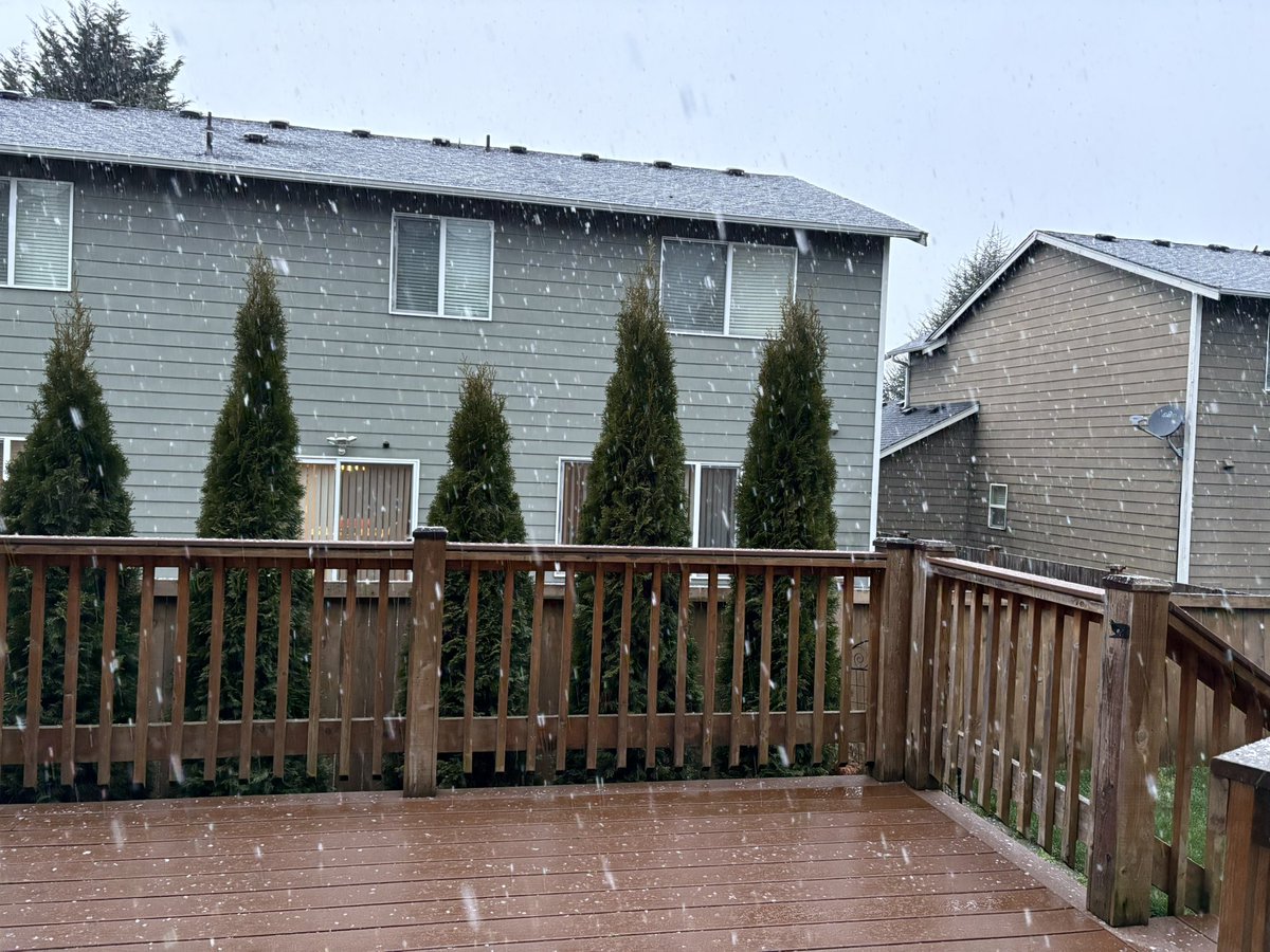 ConnerBoard's tweet image. Some snow coming down in Puyallup this morning @AshleyRuizWx ❄️ Hoping it keeps coming down in the mountains 🏔️ ⛷️