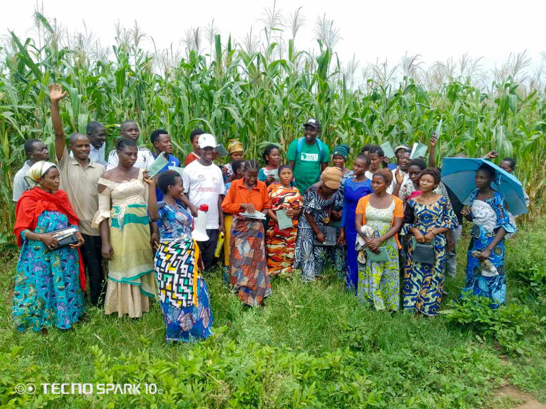 #DRC 🇨🇩
#SouthKivu: the #YouthBrigade and the local farming community, resilient in the face of insecurity.

Despite the current pressing security instability in the eastern part of the DRC, the Youth Brigade continues its mission as monitors by strengthening the technical skills