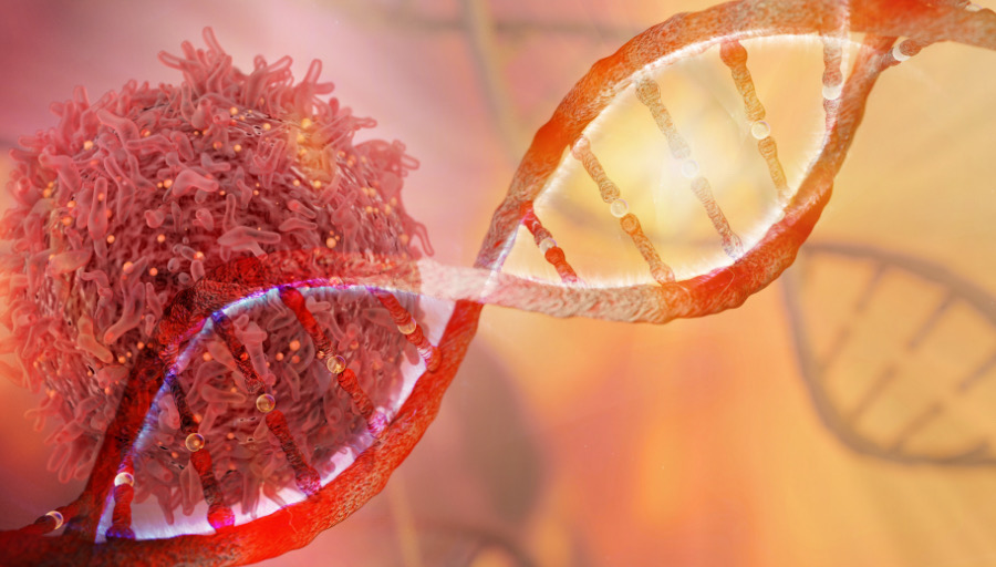#BoletínUNAM Gracias a estudios moleculares y de patología ahora es posible saber las características de algunos tumores cancerígenos, tener diagnósticos más finos y proporcionar fármacos específicos: #ExpertaUNAM. El 4 de enero se conmemora el Día Mundial contra el Cáncer &gt;