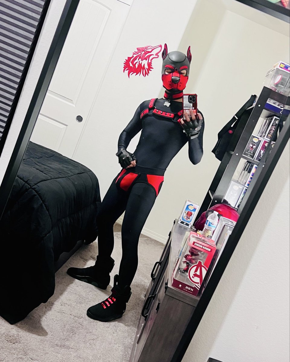 PupRedd's tweet image. Hi! 🔴 🐶 ⚫️