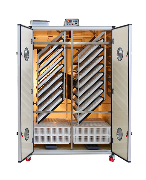 🚨 Hatching Season is Here! 🚨

🐣 Out with the old, in with the new! Upgrade your incubator now! 🚀
🔥 Up to 20% OFF on all new commercial incubator models – Limited-Time Offer!

📢 Don’t miss this chance! Contact us today &amp; find the perfect incubator for your needs!

🔗