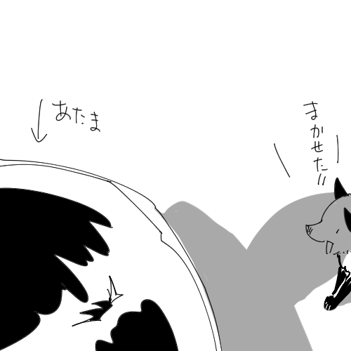 @ifn0name 